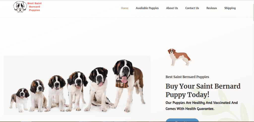 Saint Bernard Puppy Website