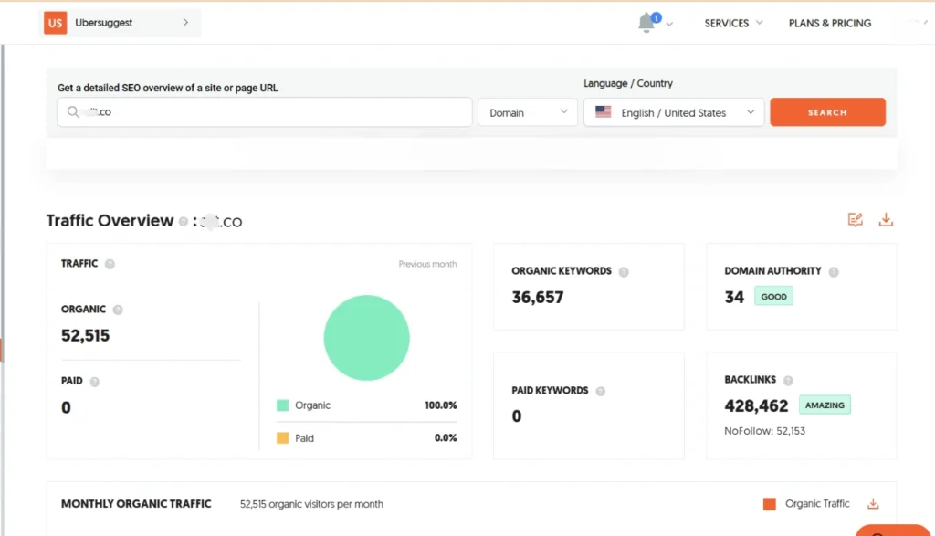 Websites-Traffic-Overview-After