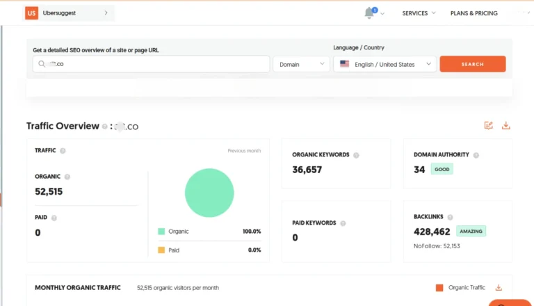 Websites-Traffic-Overview-After
